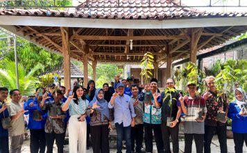 Ribuan Bibit Pohon Hijaukan Perbukitan di Patuk Gunungkidul